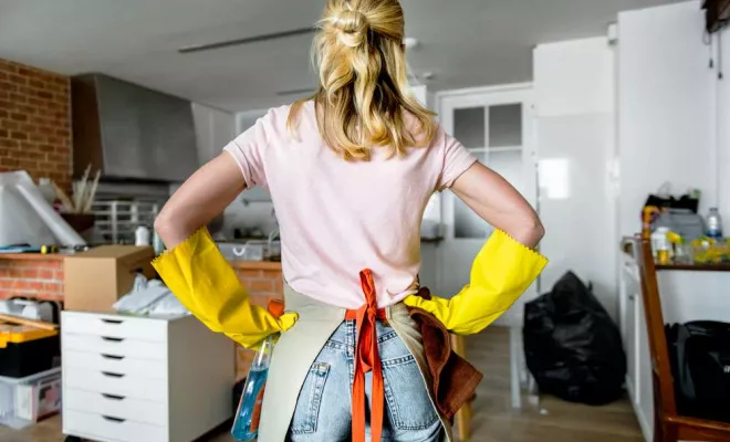 Nettoyage complet de la maison, L'Isle-sur-la-Sorgue, Gang des Autos